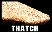 Thatch roof type